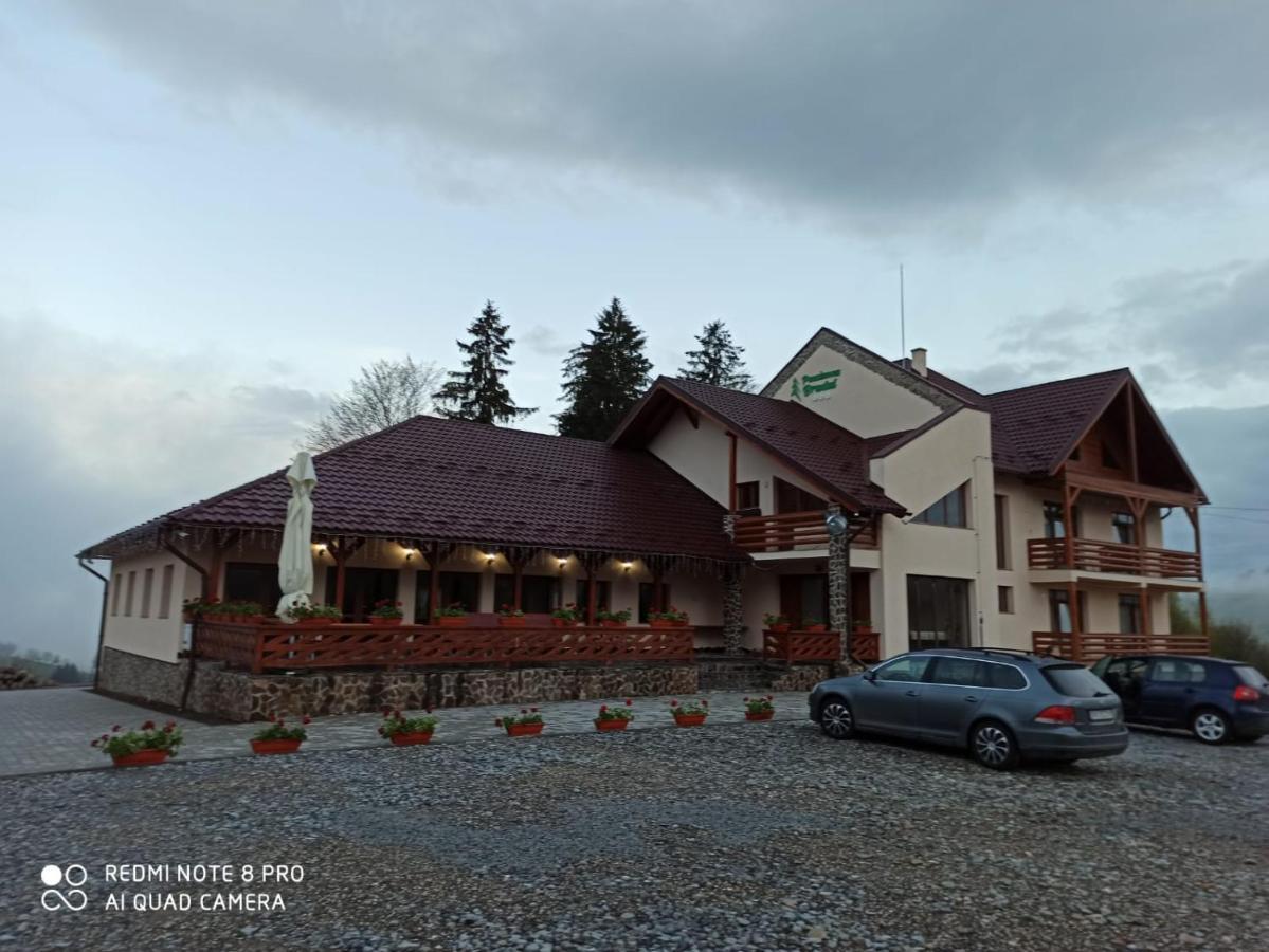 Pensiunea Bradul Dealu Stefanitei Extérieur photo